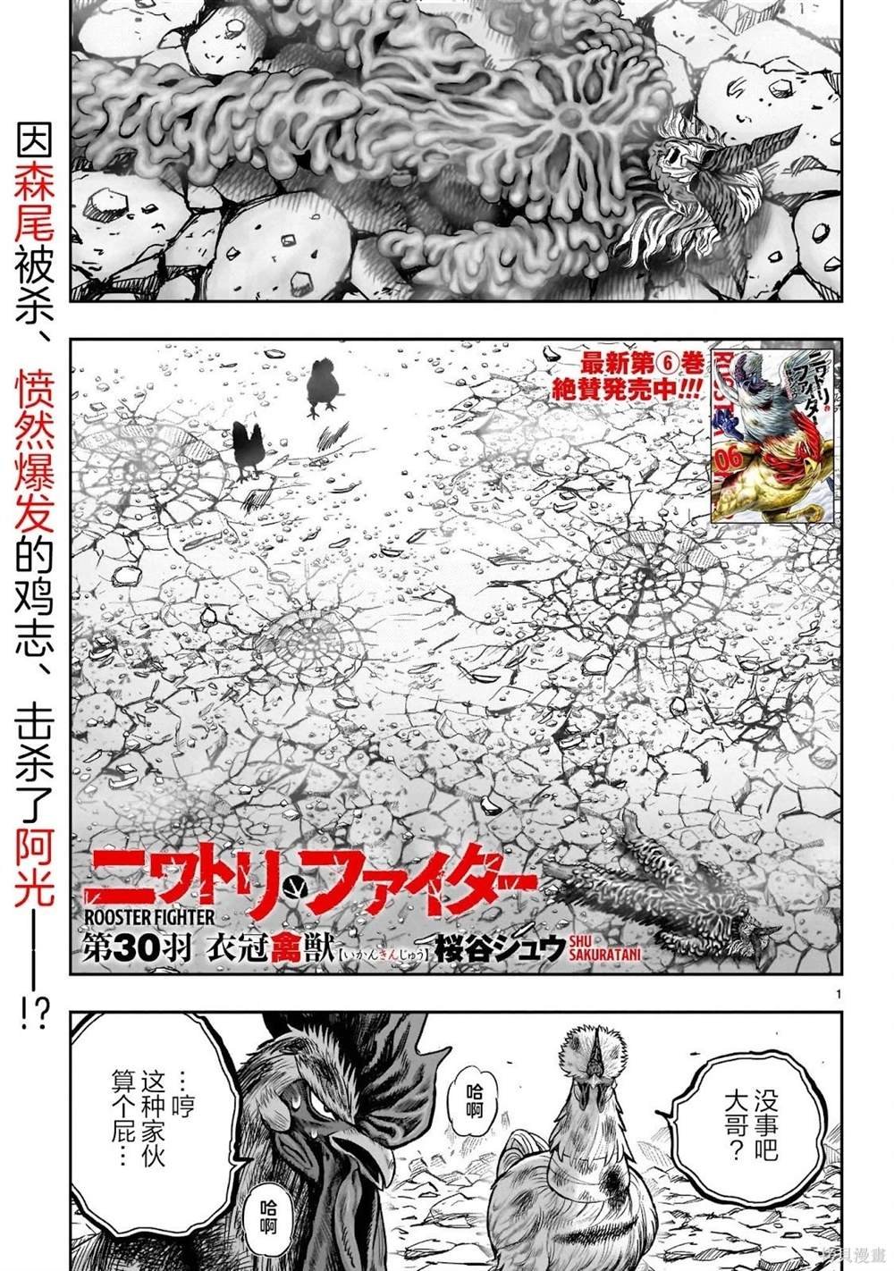 第30话