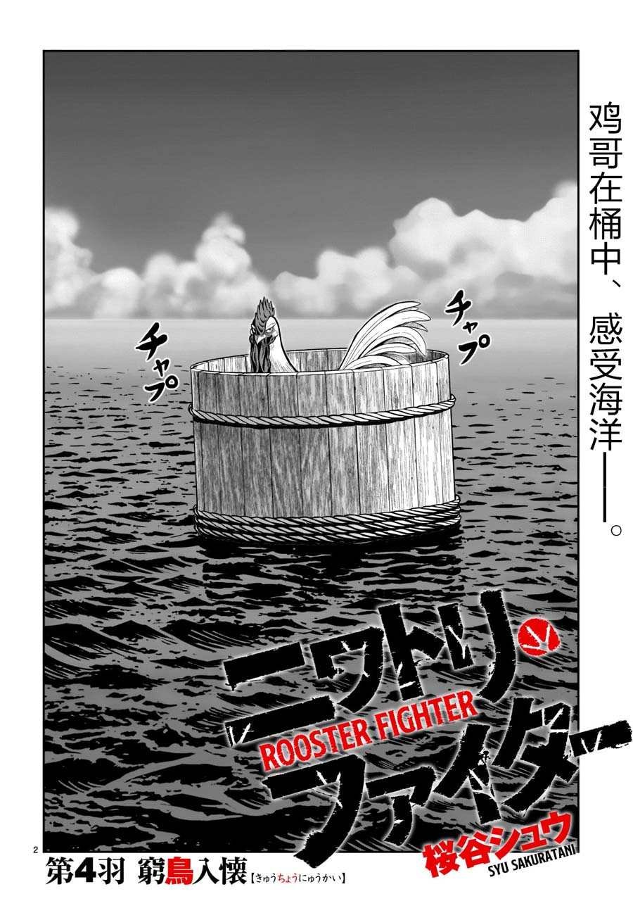 第4话 穷鸟入怀