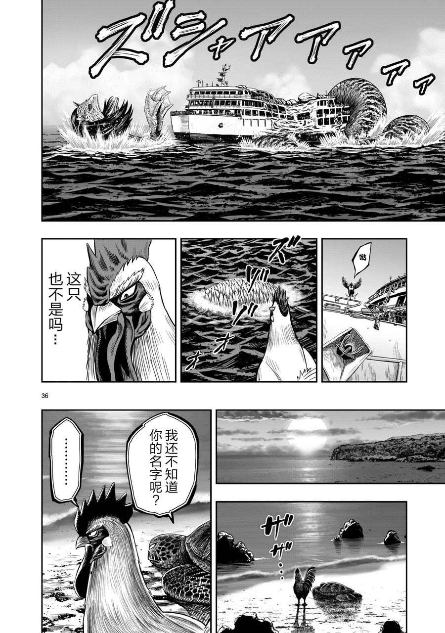 第4话 穷鸟入怀