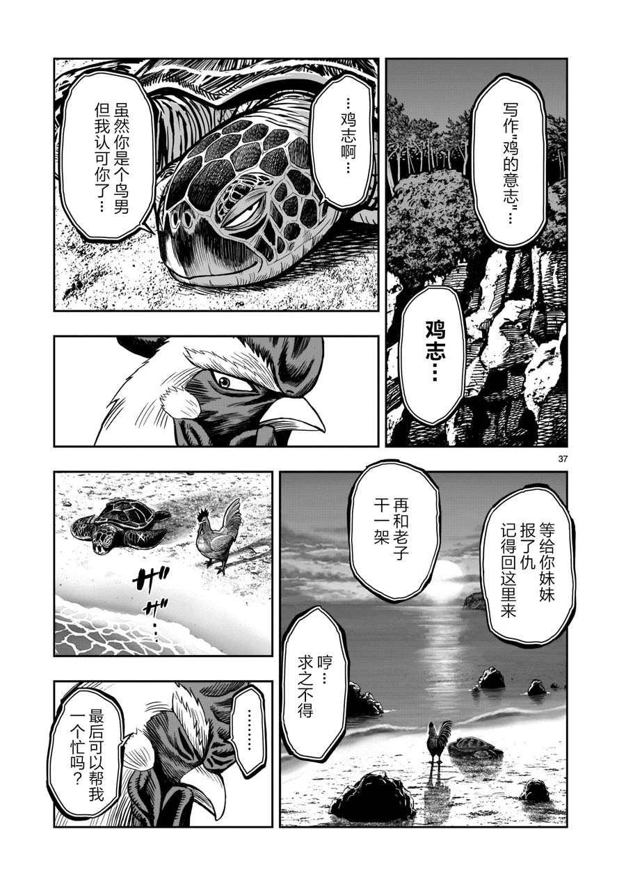 第4话 穷鸟入怀