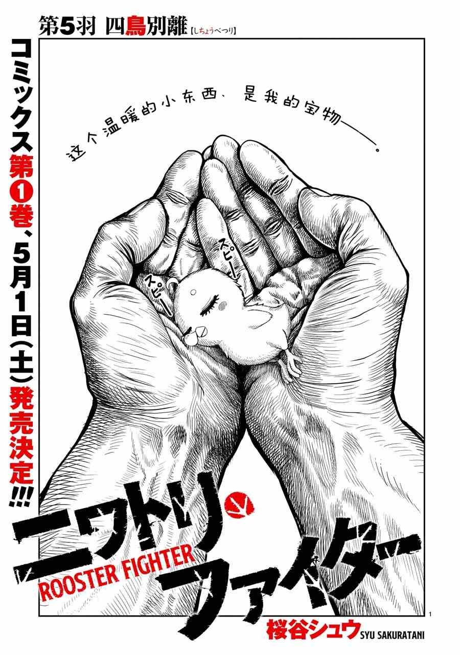 第5话 四鸟别离