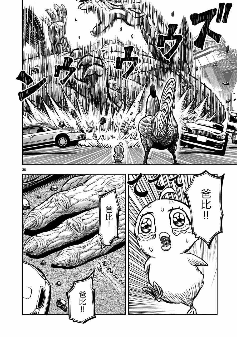 第5话 四鸟别离
