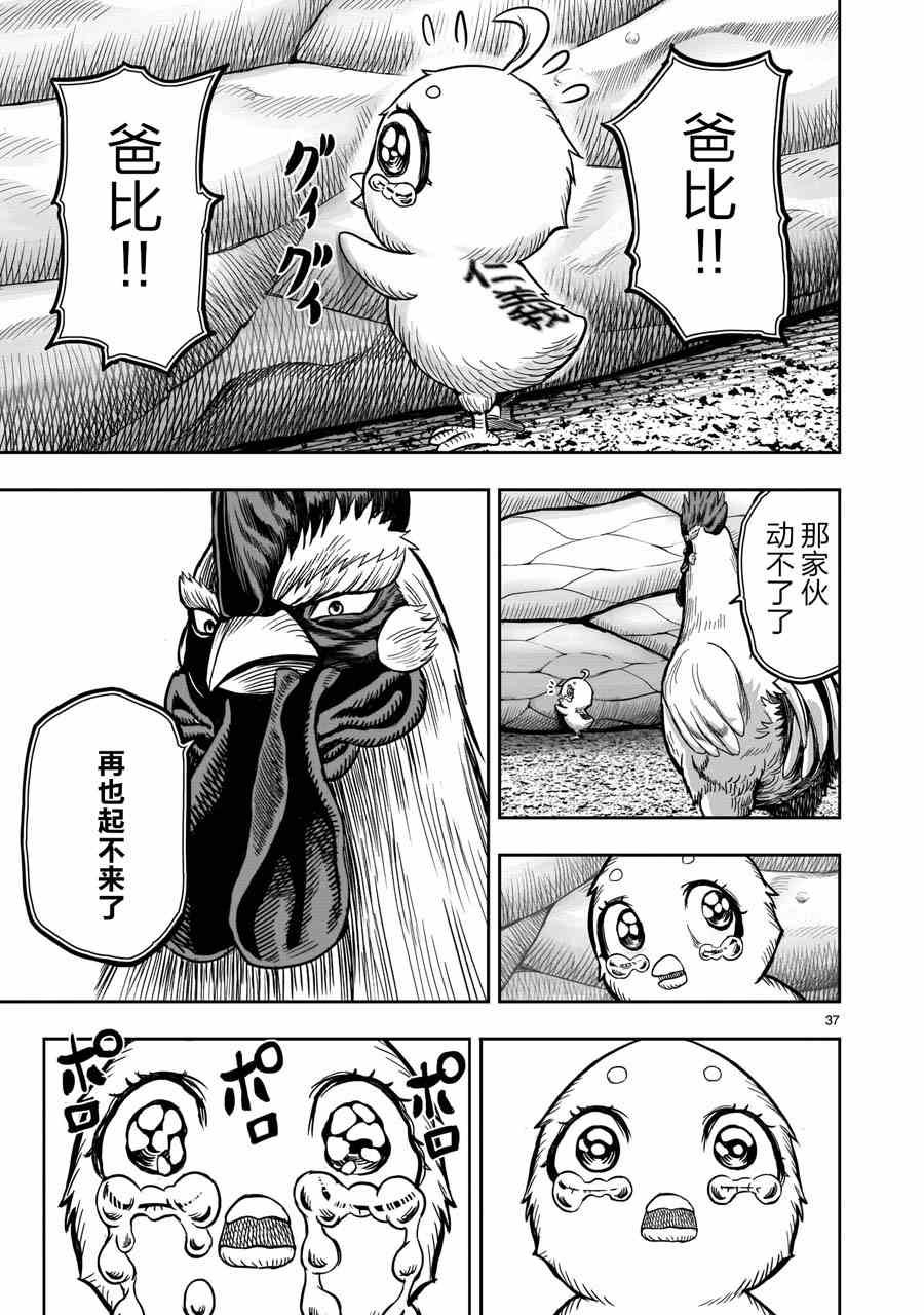 第5话 四鸟别离