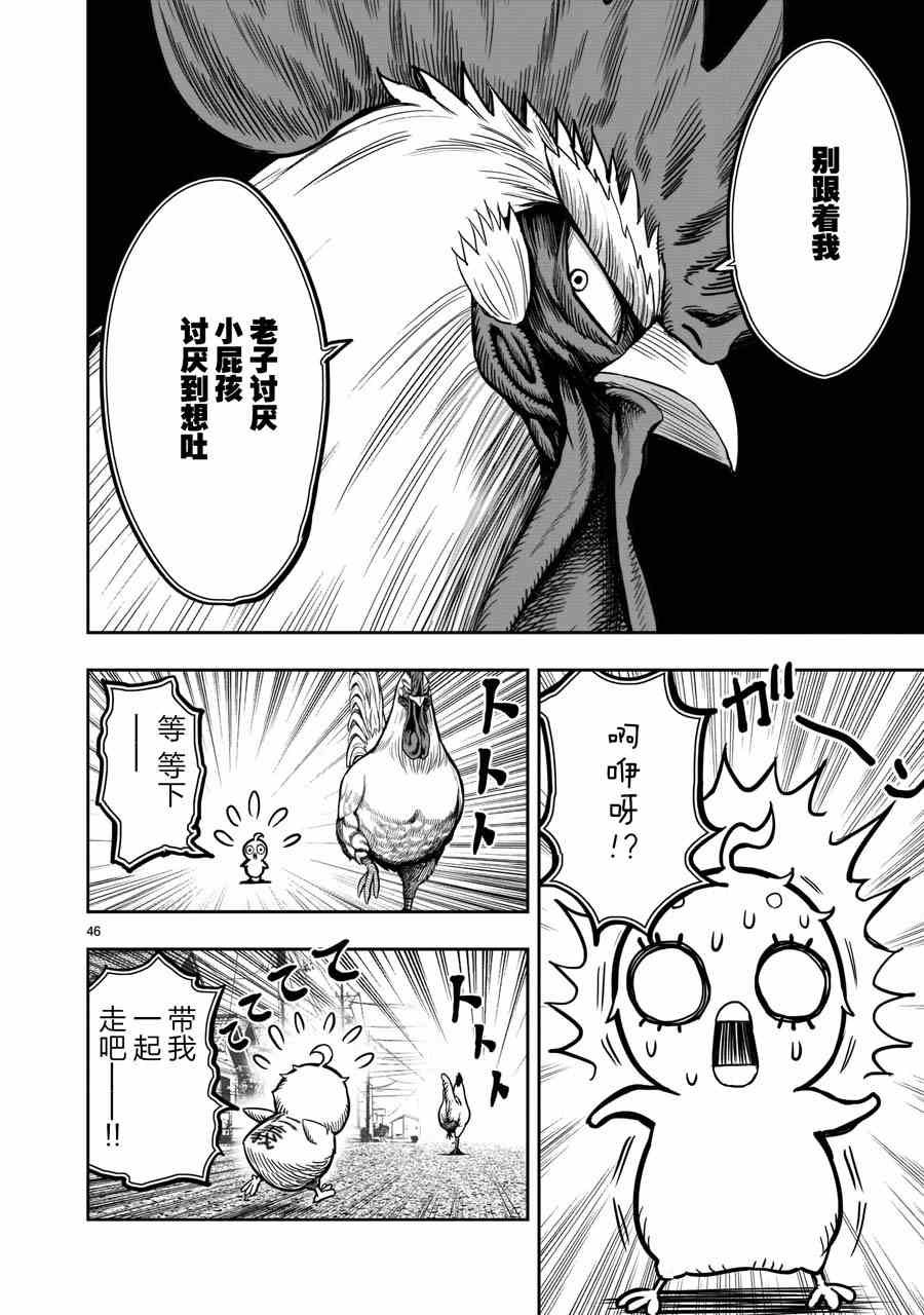 第5话 四鸟别离