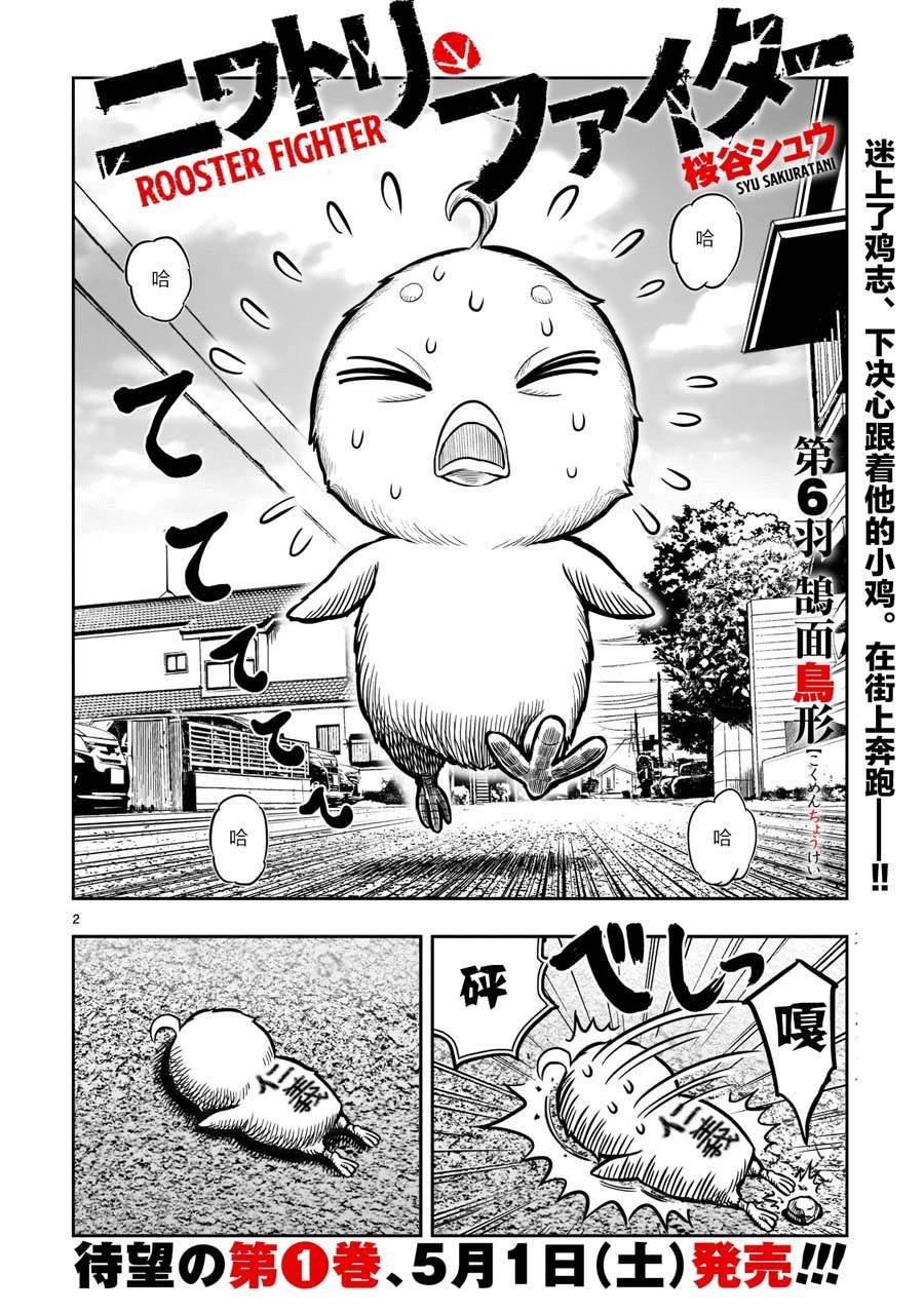 第6话 鸽面鸟形