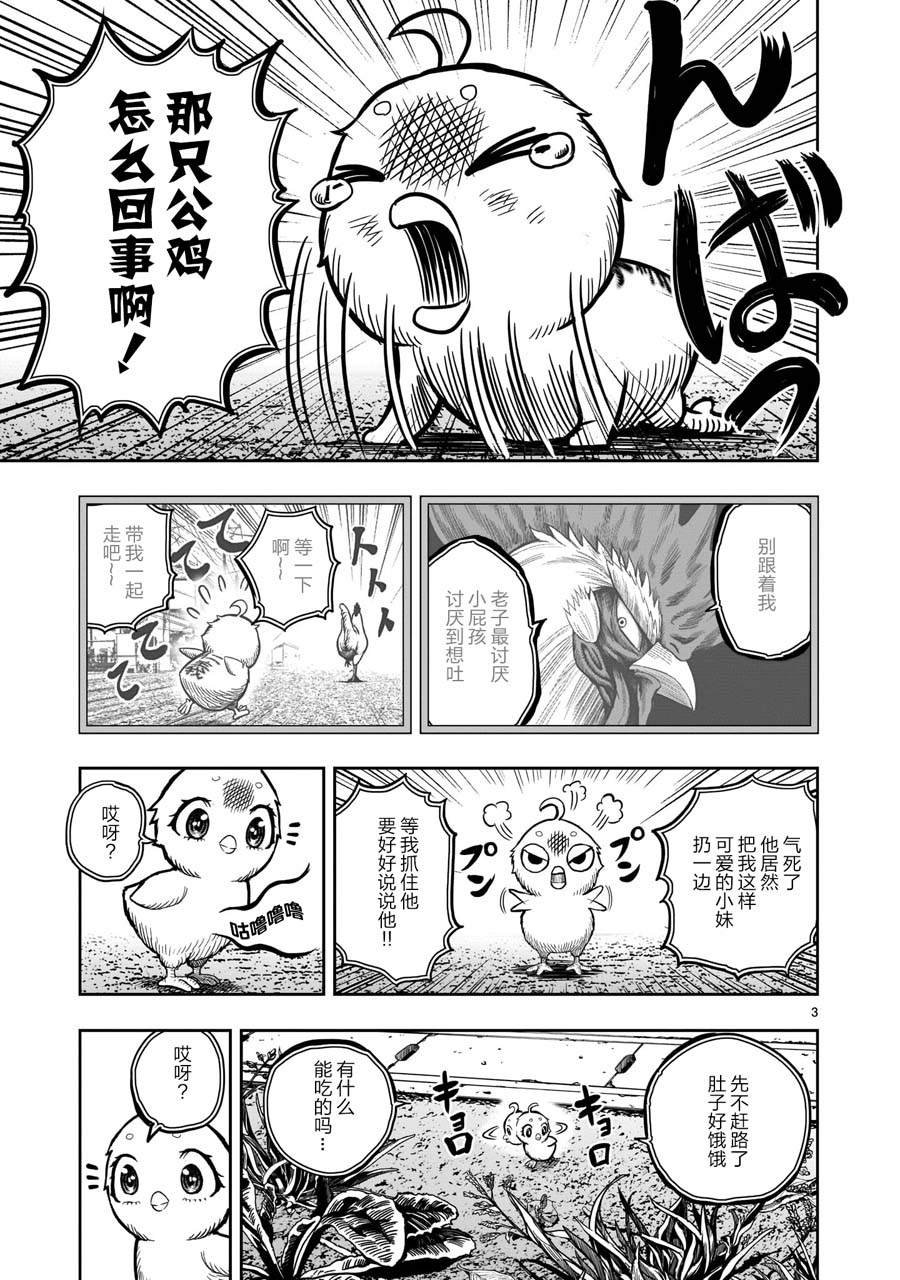 第6话 鸽面鸟形