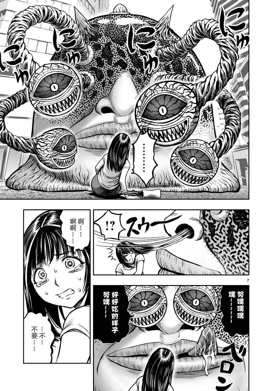 第6话 鸽面鸟形