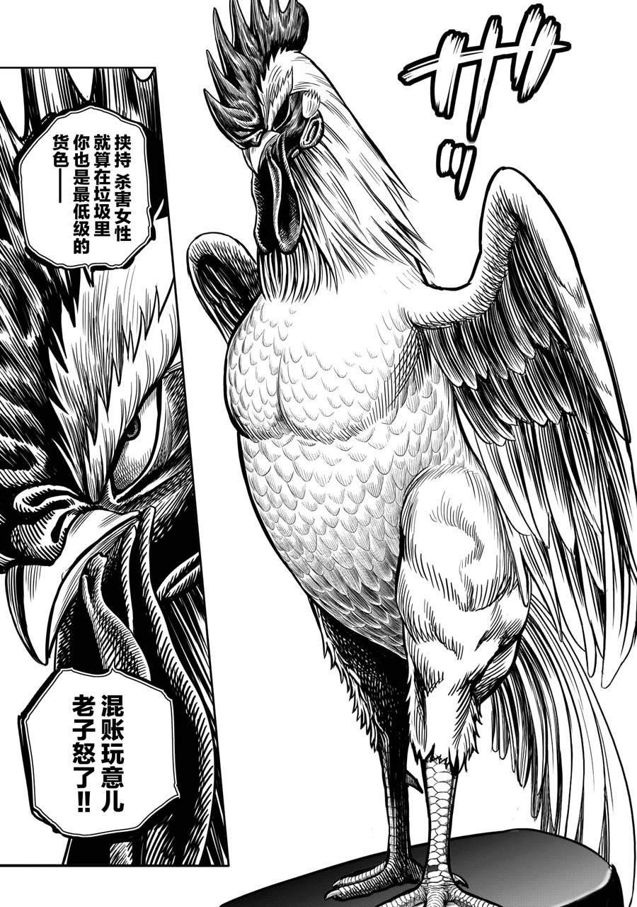 第6话 鸽面鸟形