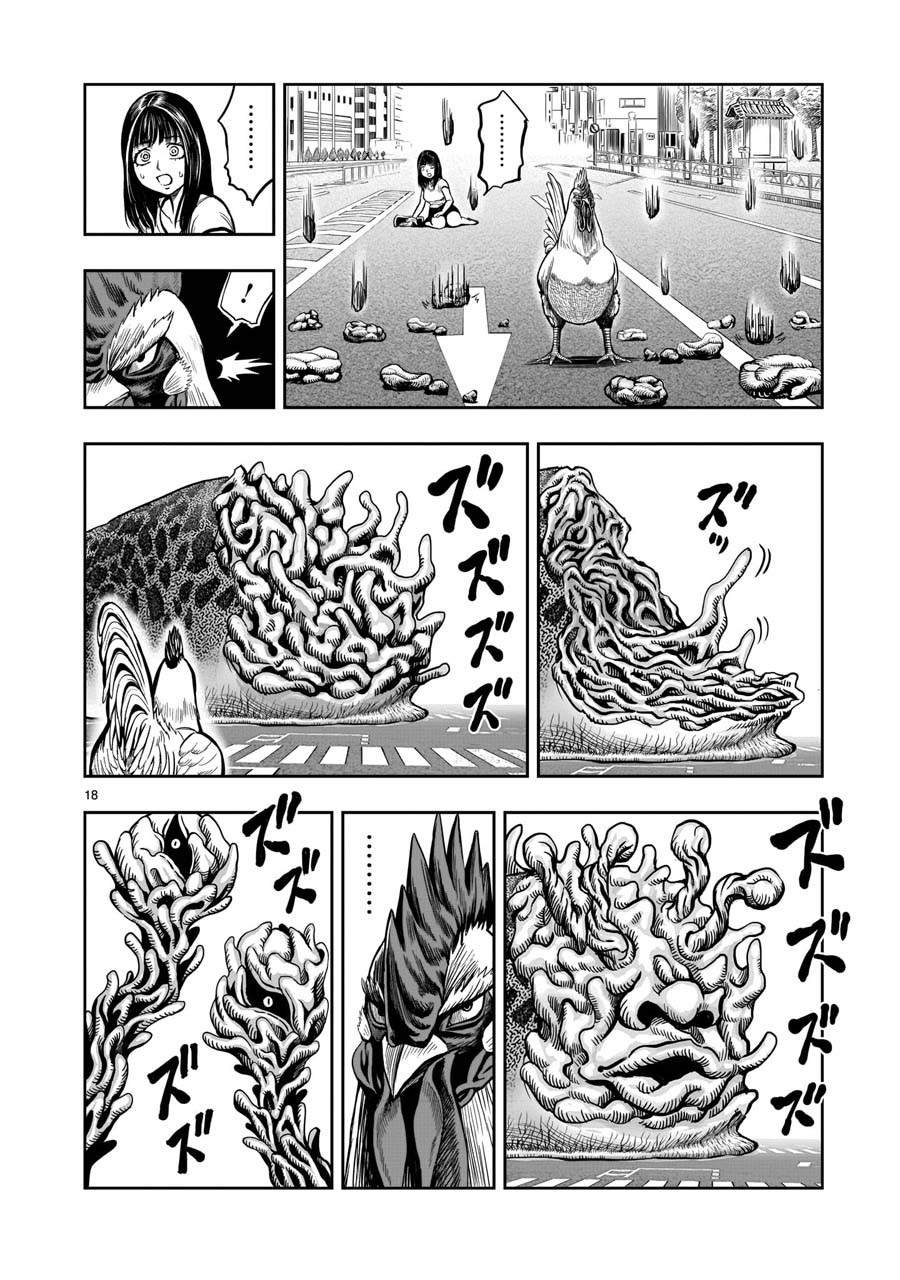 第6话 鸽面鸟形