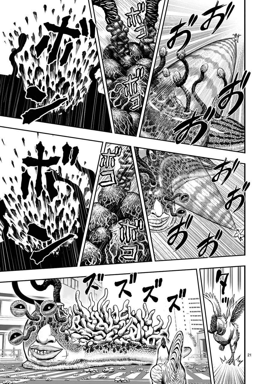 第6话 鸽面鸟形