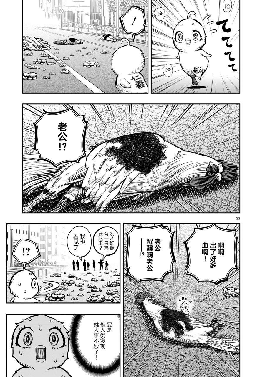 第6话 鸽面鸟形
