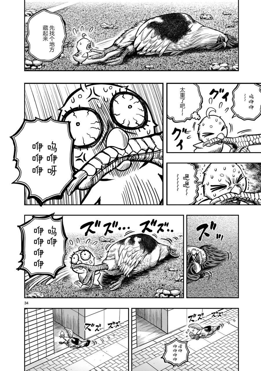 第6话 鸽面鸟形