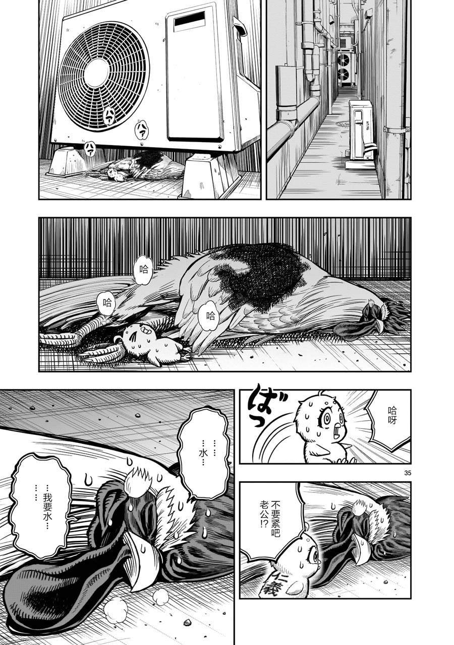 第6话 鸽面鸟形