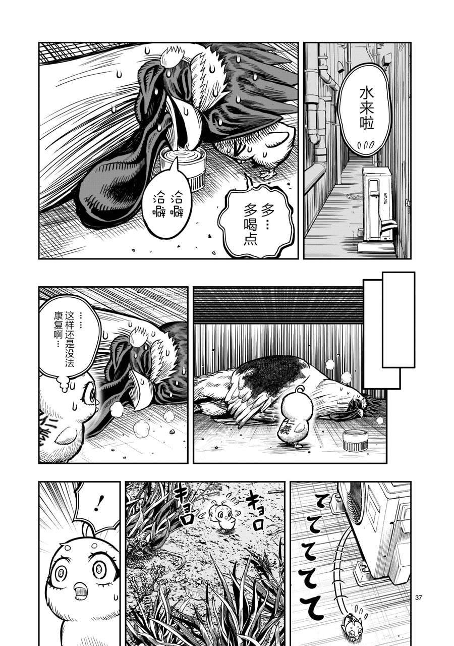 第6话 鸽面鸟形