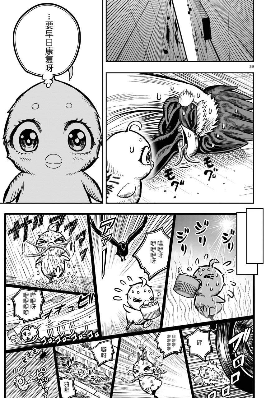 第6话 鸽面鸟形