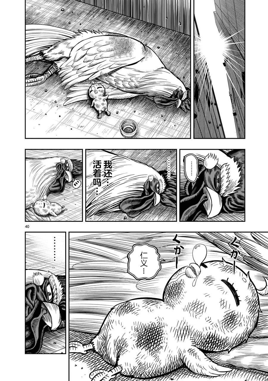 第6话 鸽面鸟形