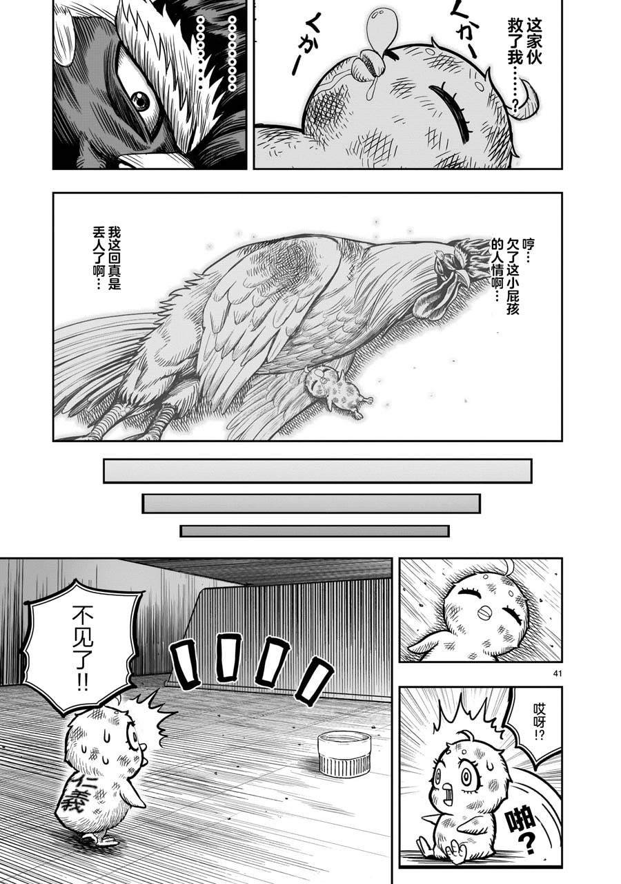 第6话 鸽面鸟形