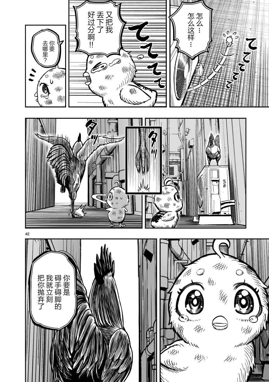 第6话 鸽面鸟形