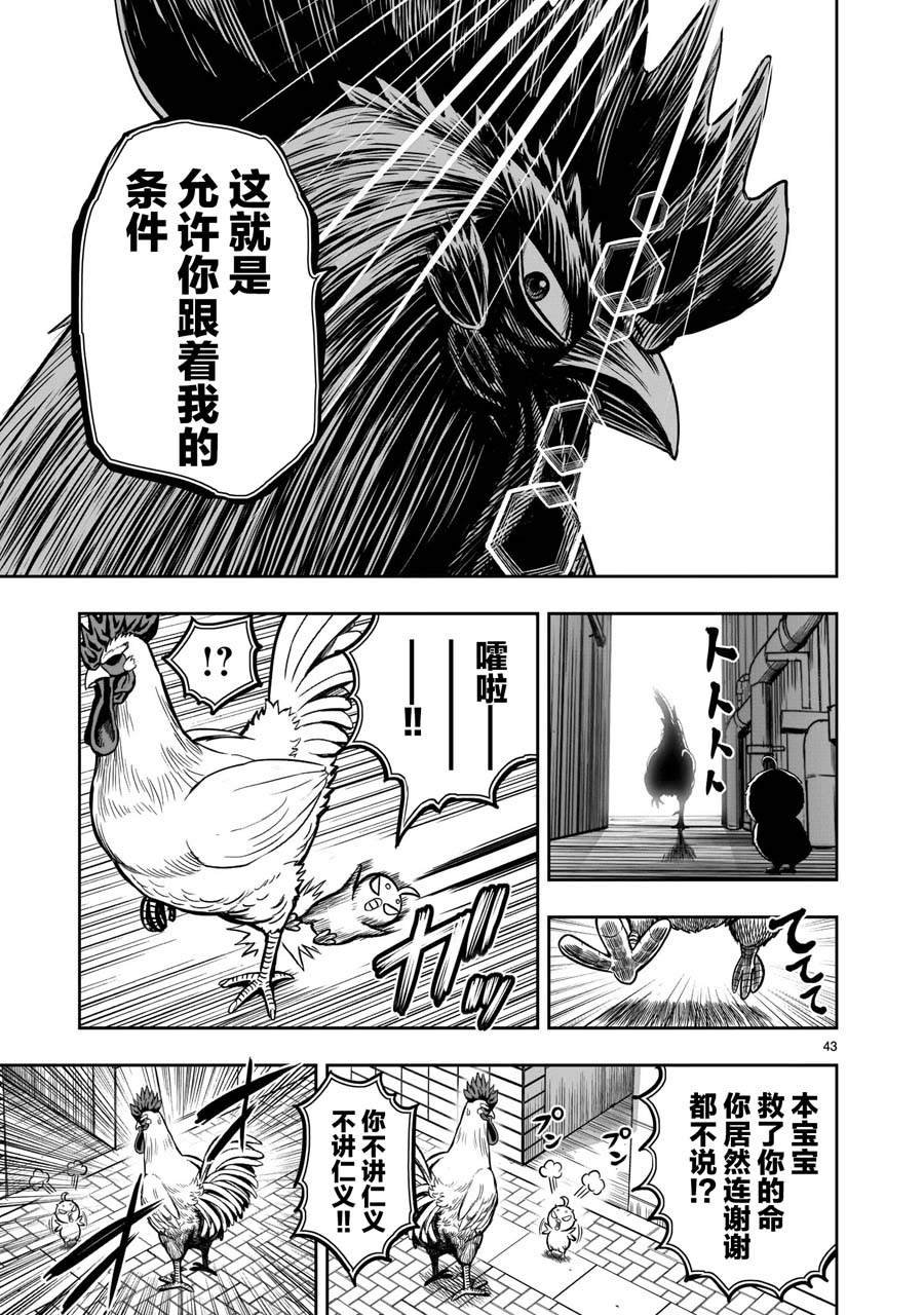 第6话 鸽面鸟形