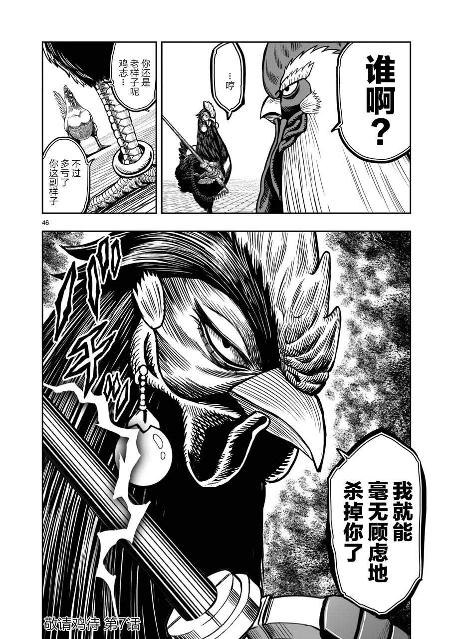 第6话 鸽面鸟形