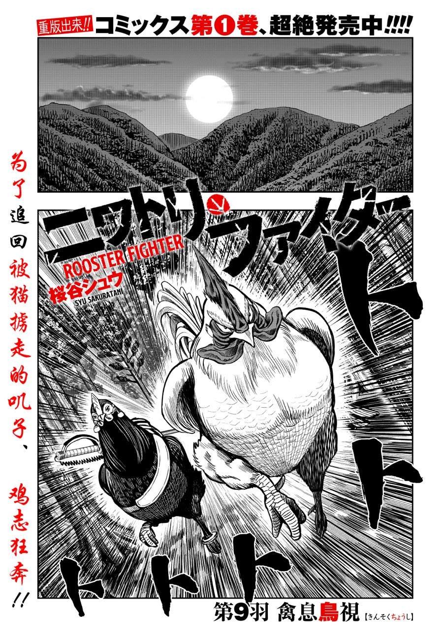 第9话 禽视鸟息