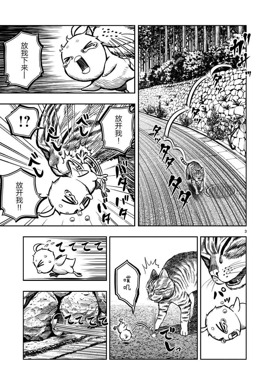 第9话 禽视鸟息