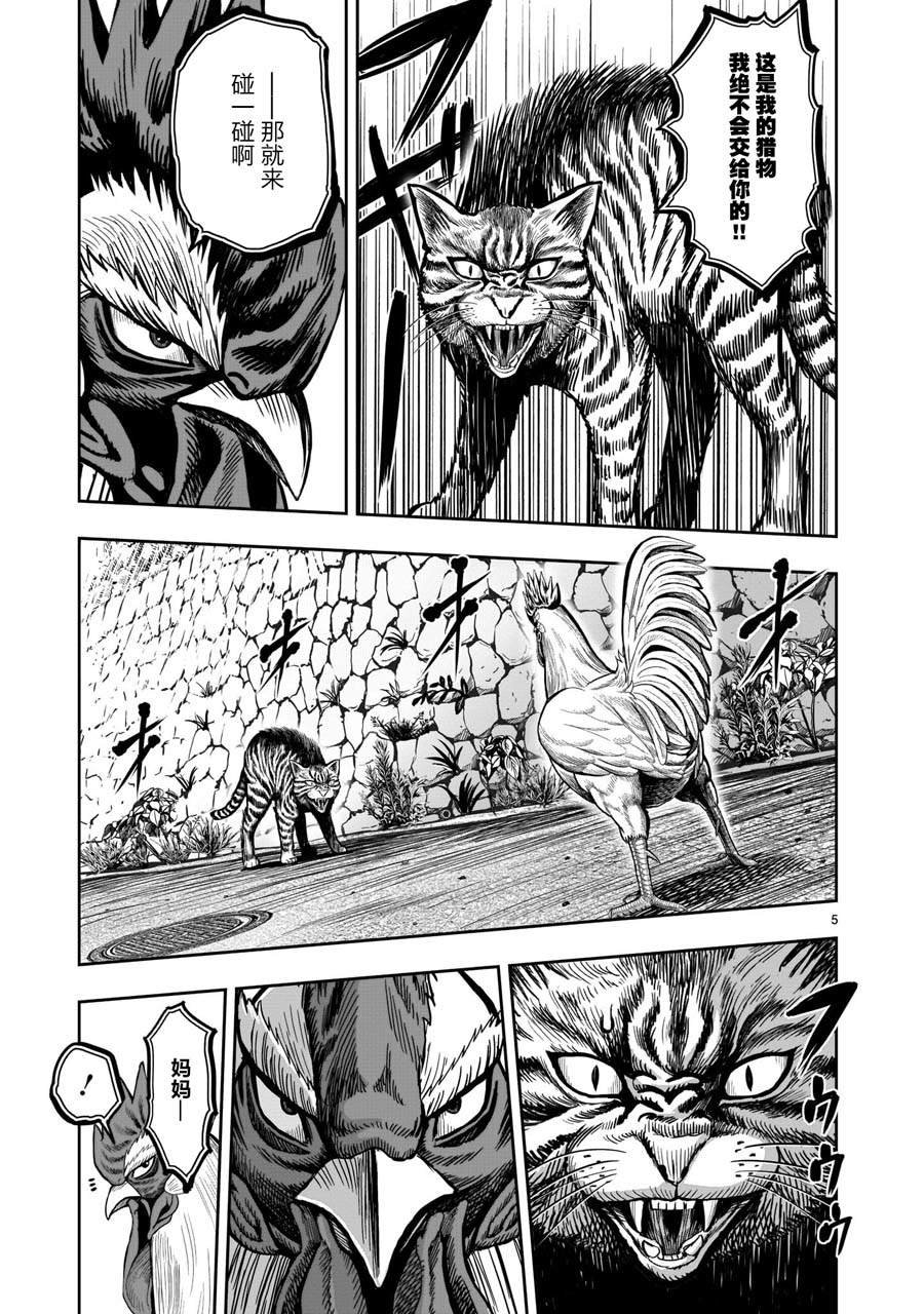 第9话 禽视鸟息