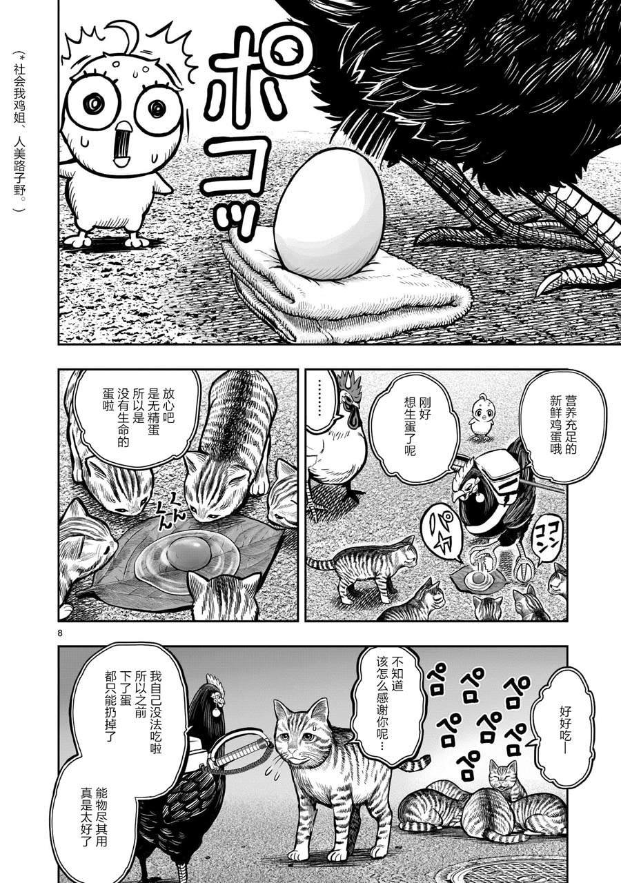 第9话 禽视鸟息