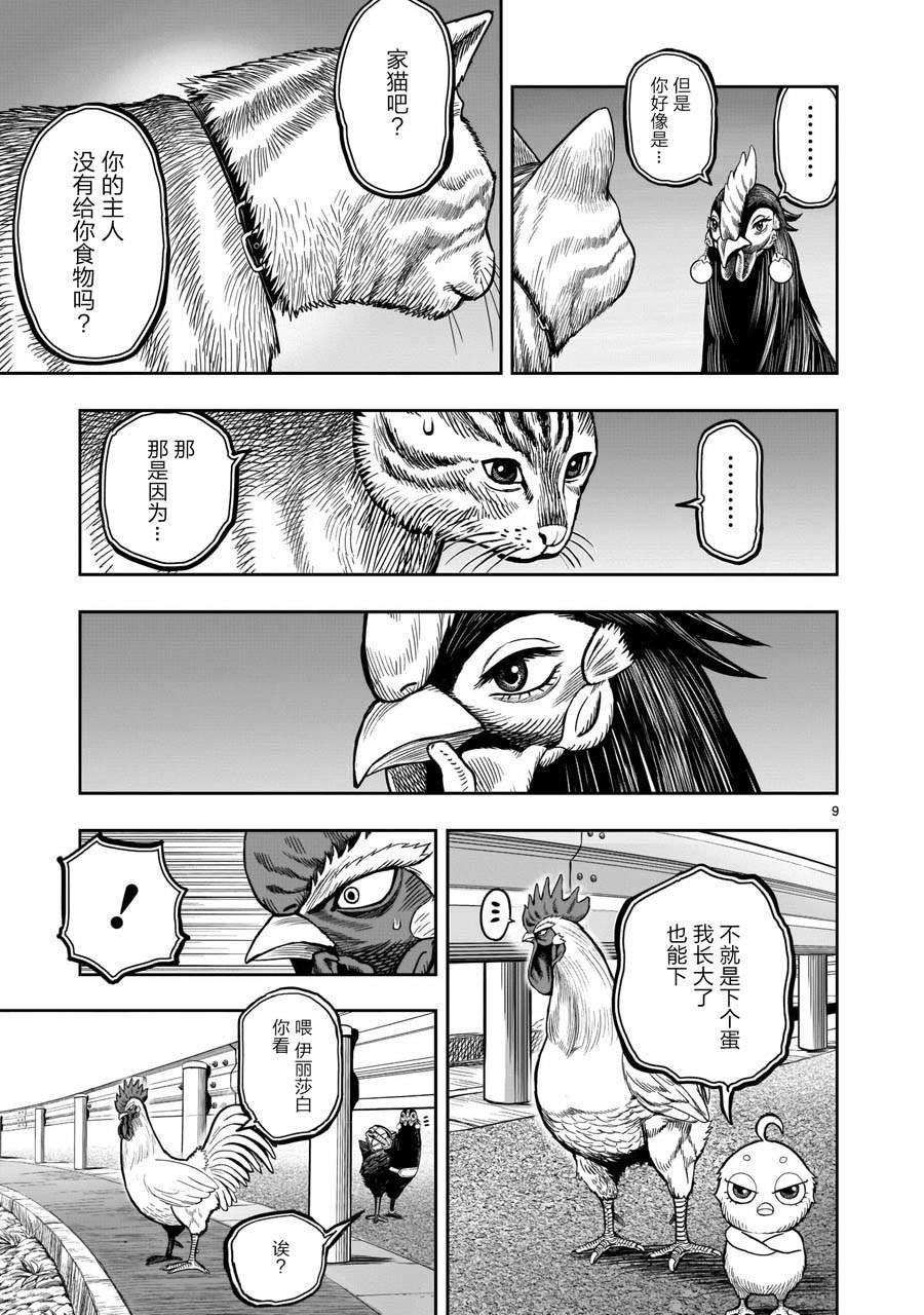 第9话 禽视鸟息