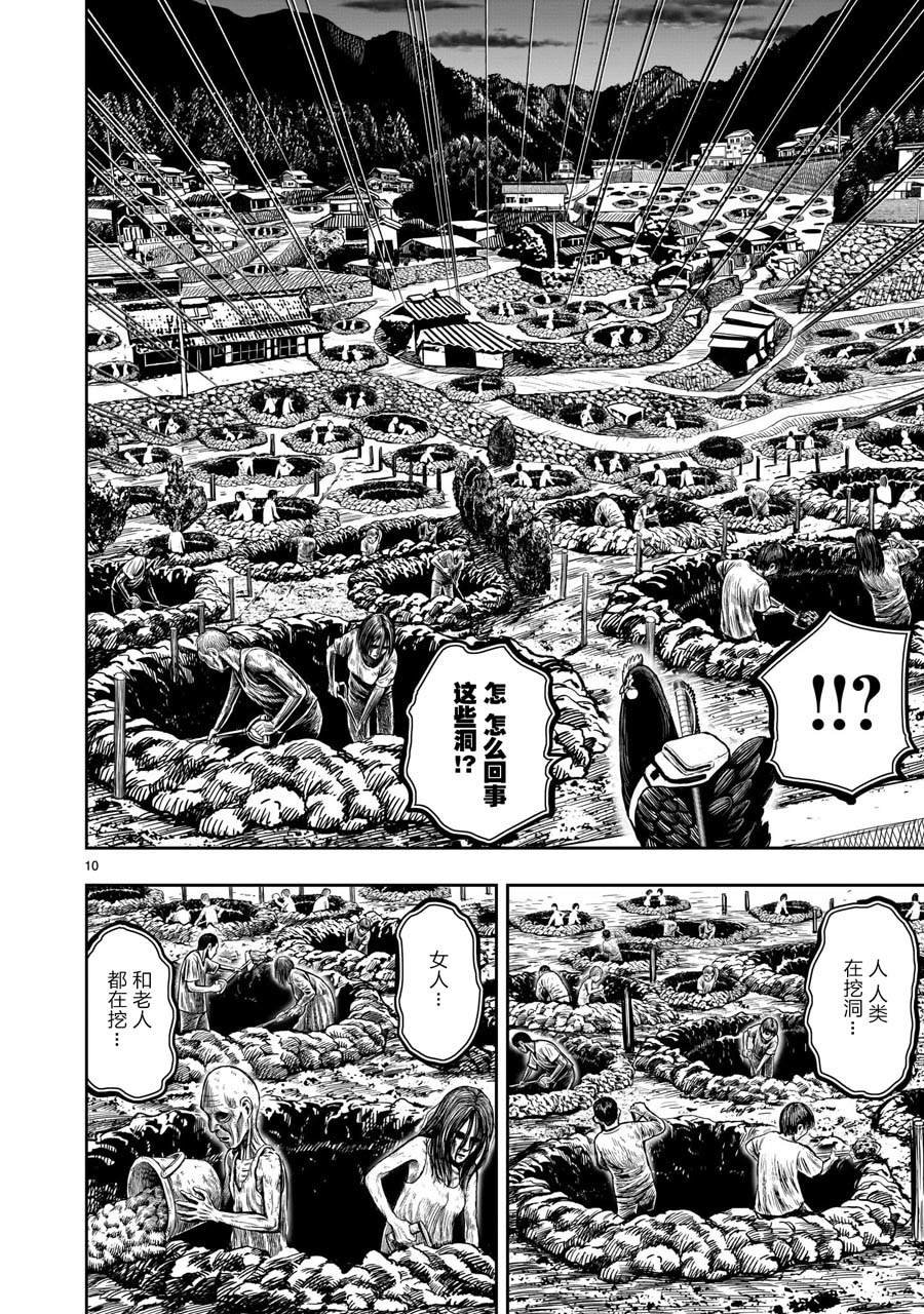 第9话 禽视鸟息