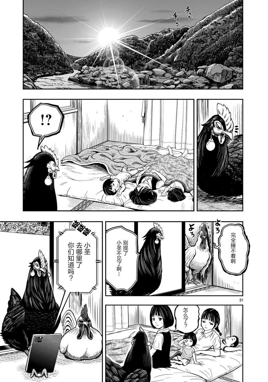 第9话 禽视鸟息