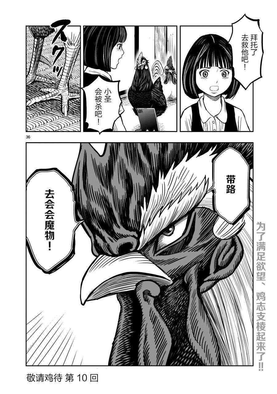第9话 禽视鸟息