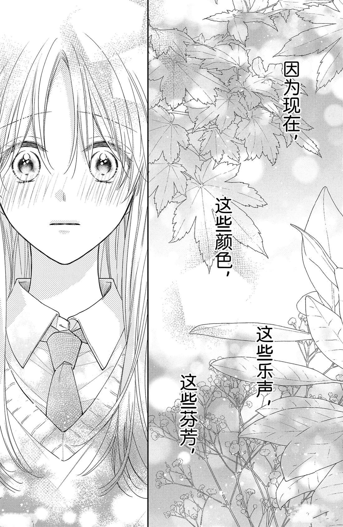 第11话 荷花木兰的光芒