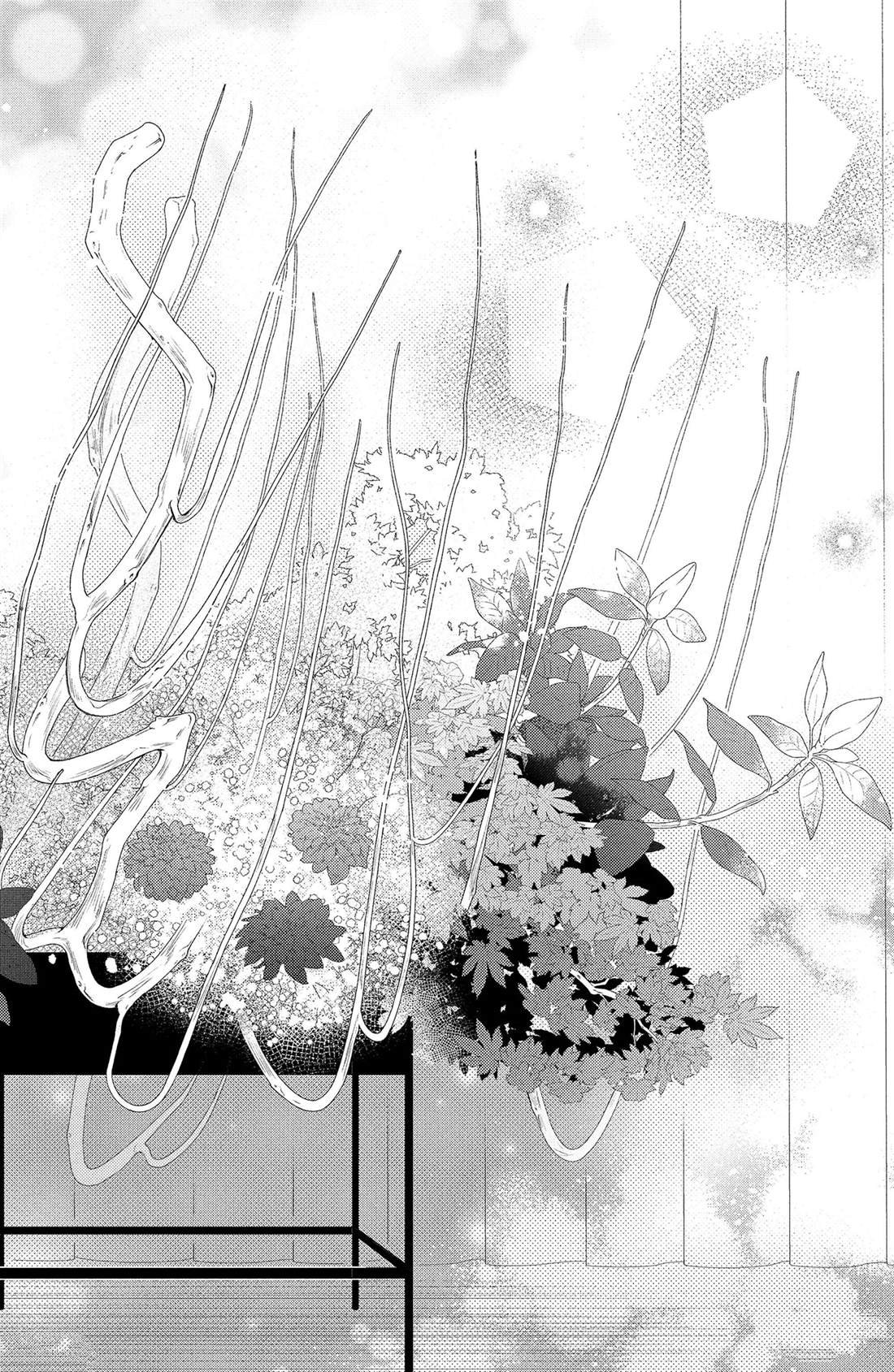 第11话 荷花木兰的光芒