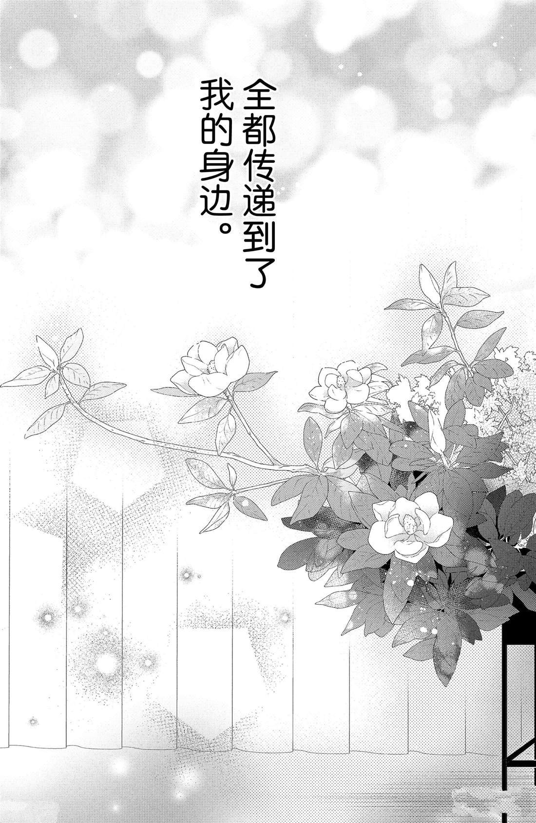 第11话 荷花木兰的光芒