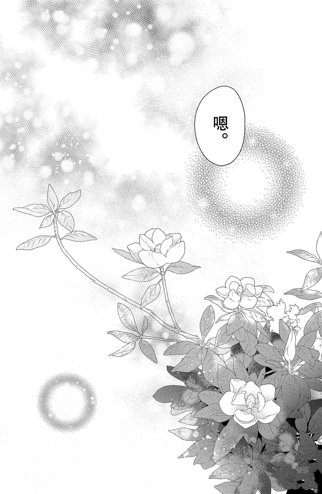 第11话 荷花木兰的光芒