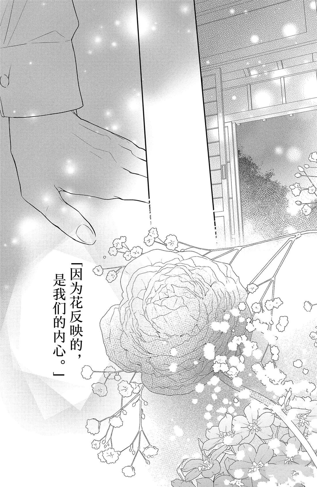 第5话 发烧与飞燕草