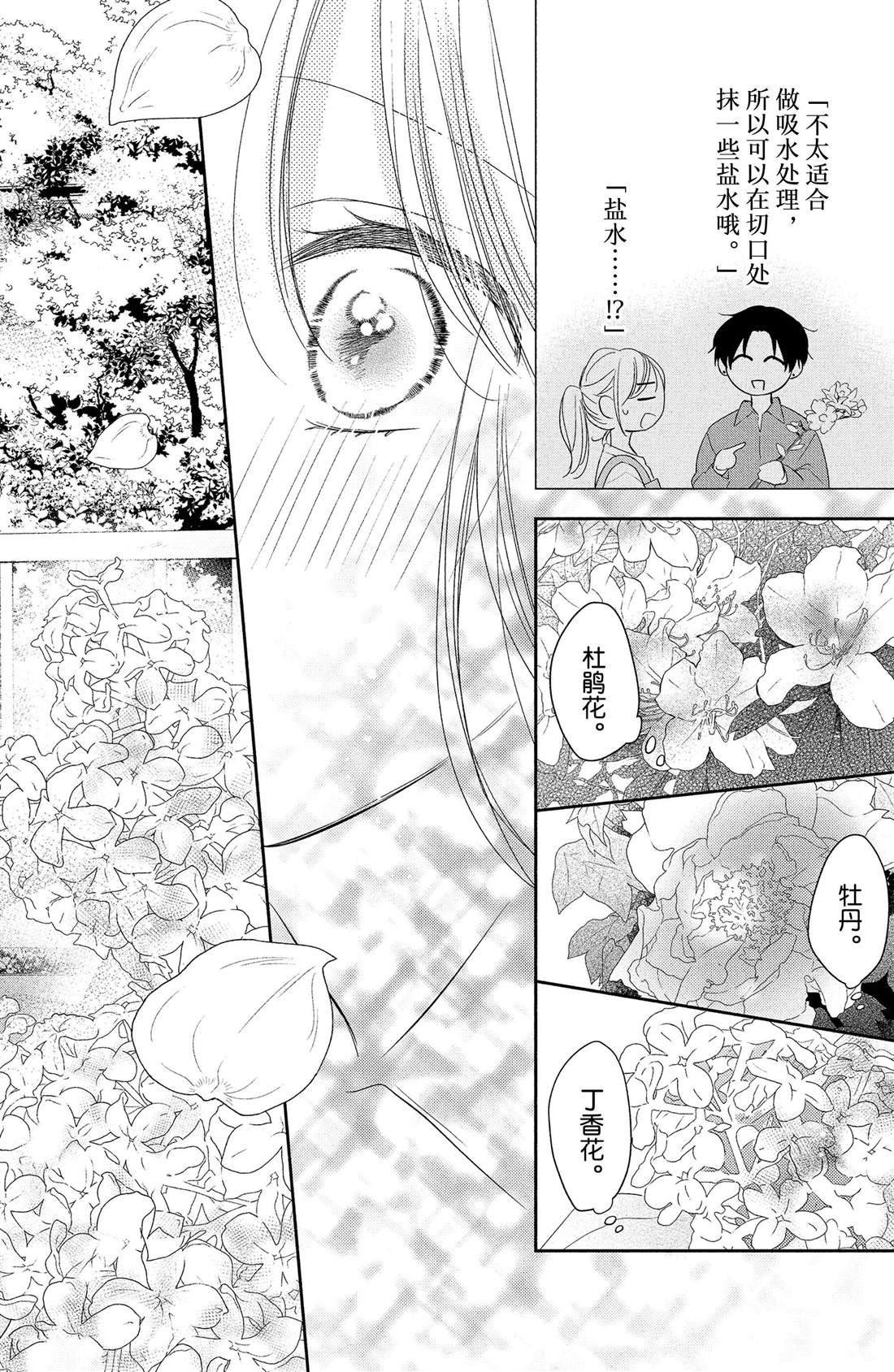 第9话 寻觅到的四照花