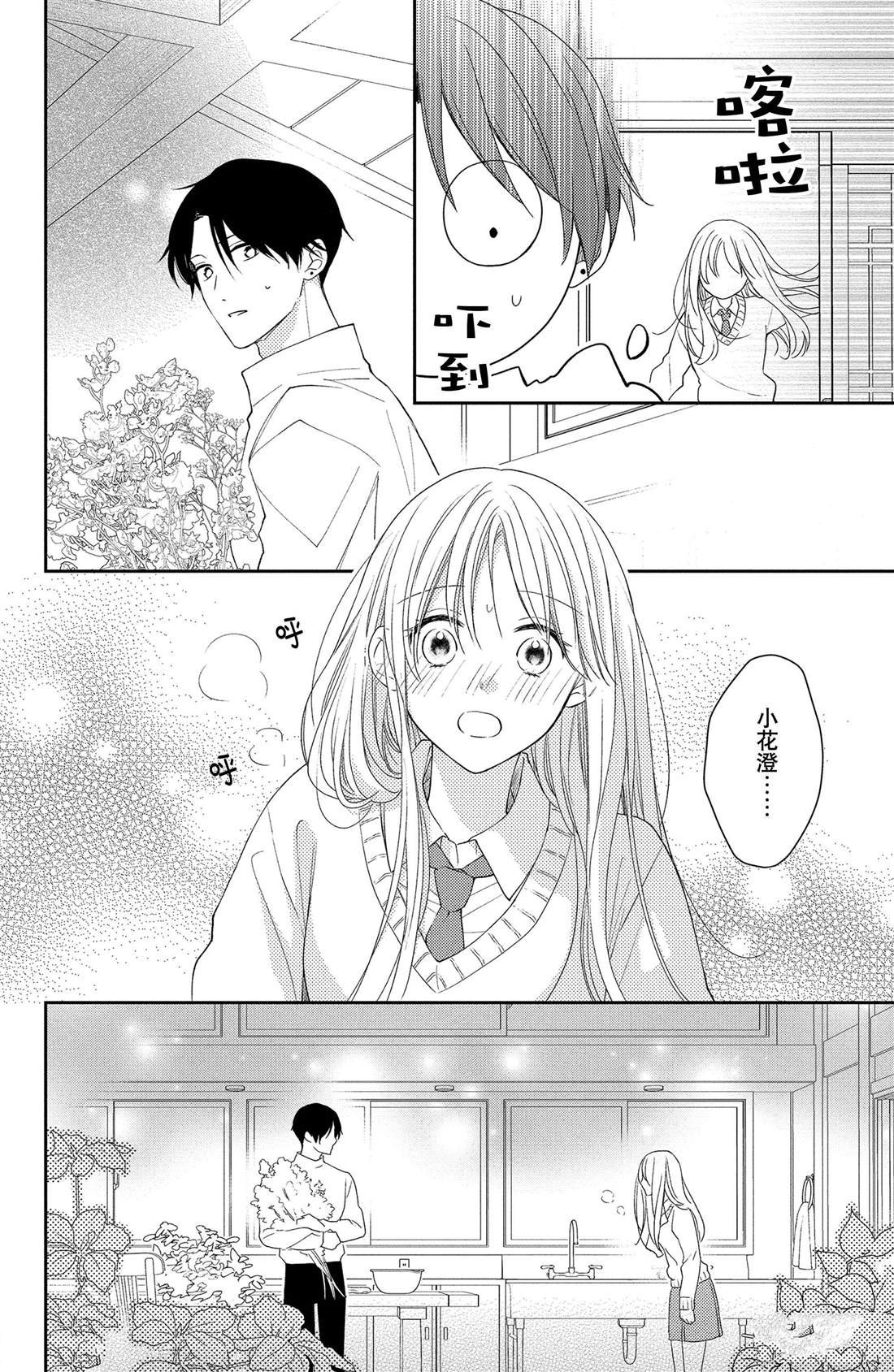 第9话 寻觅到的四照花
