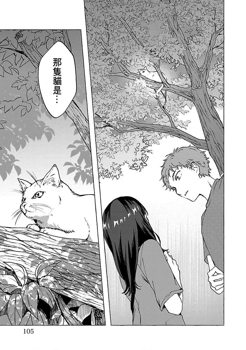 第9话 猫猫注视着你