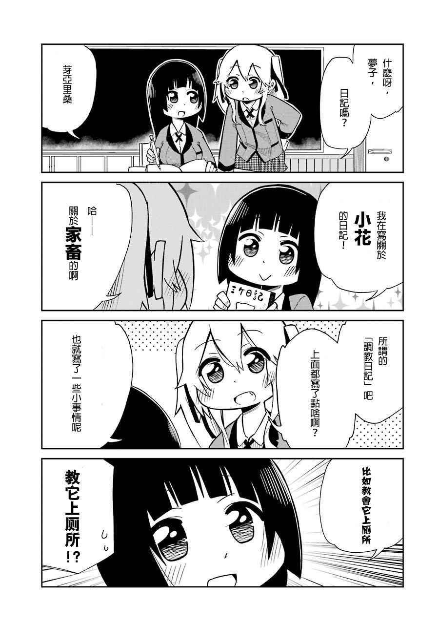 外传四格