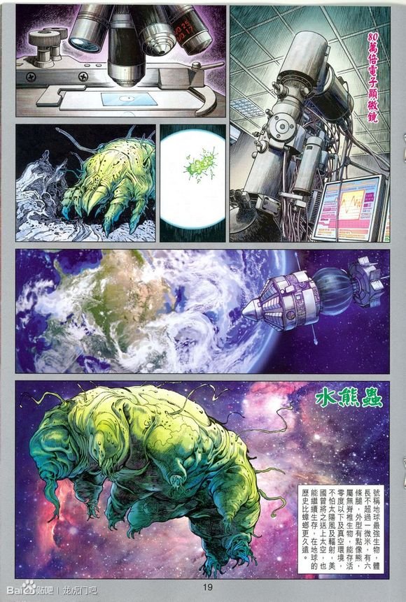 第41卷