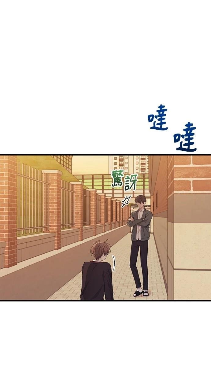 第117话