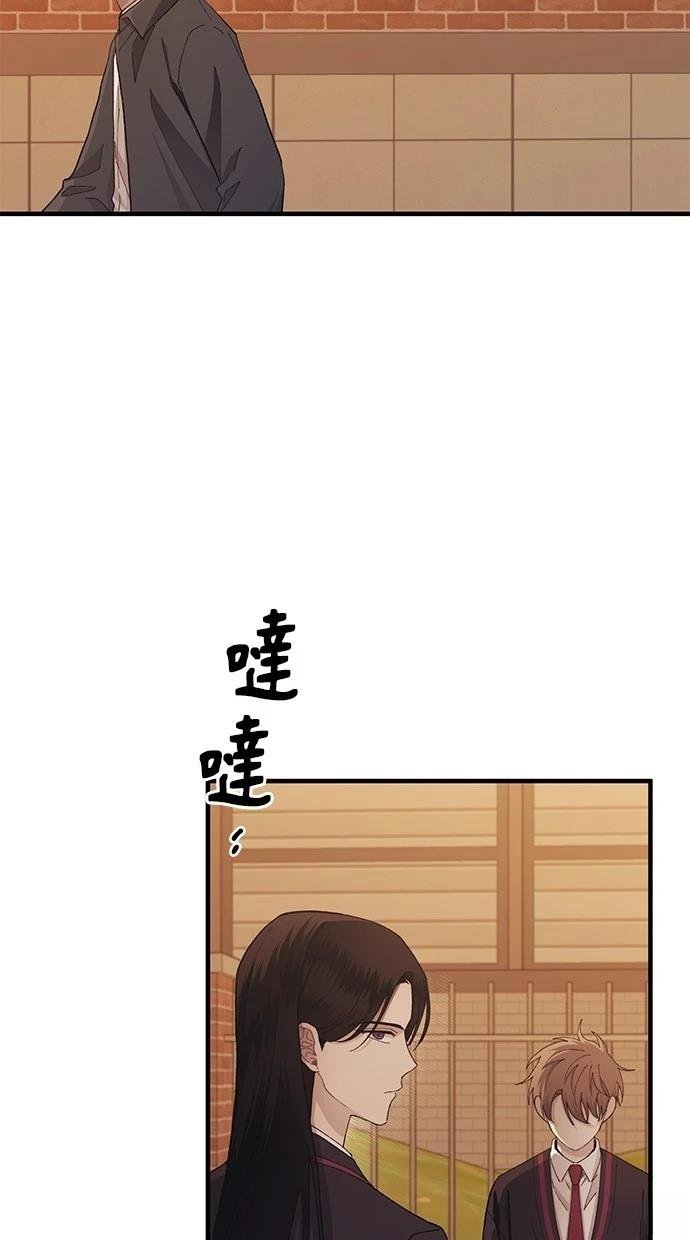 第117话