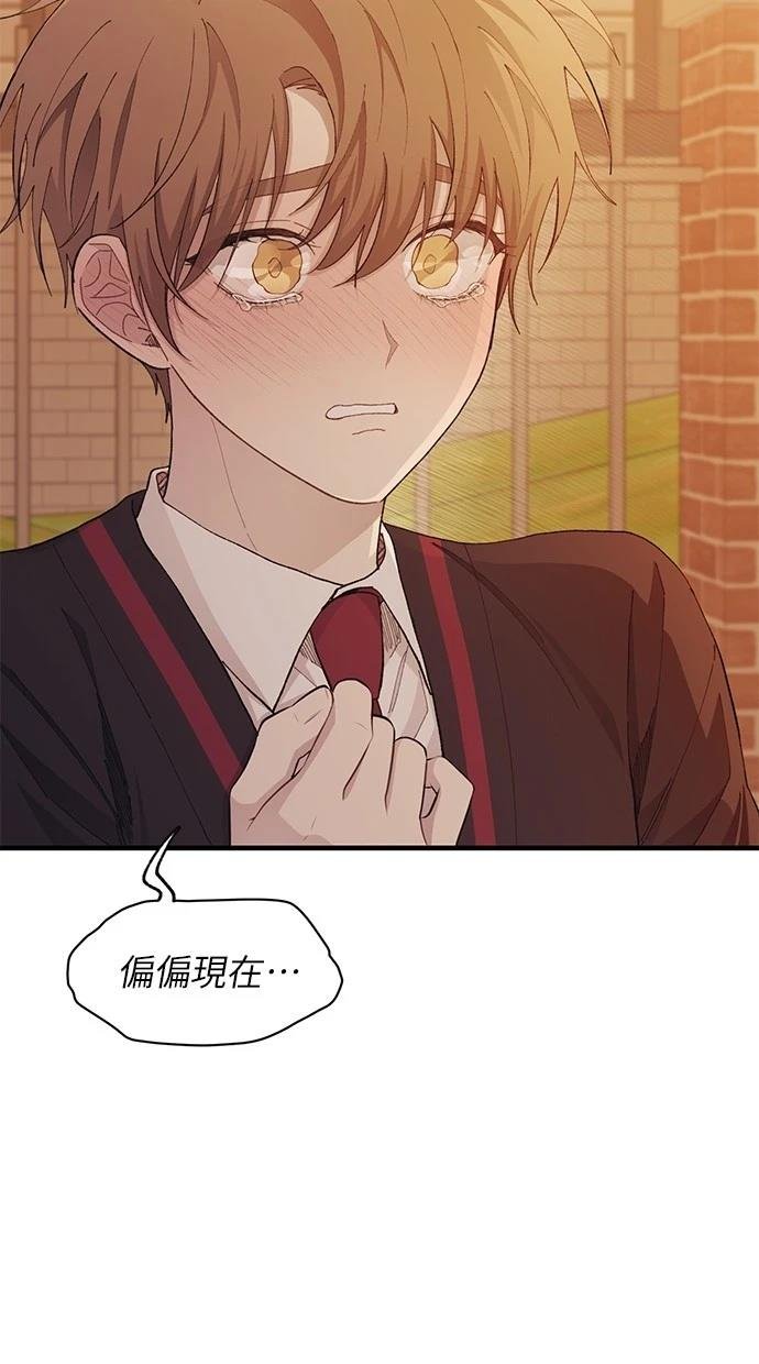 第117话