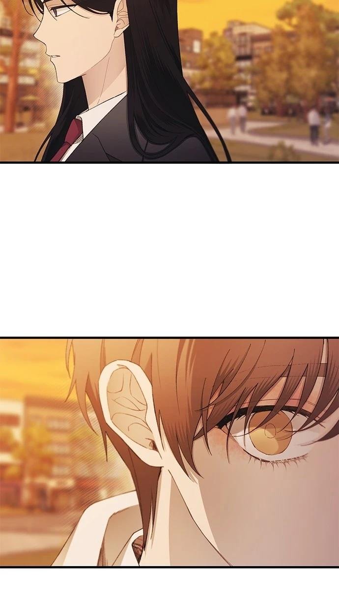 第146话