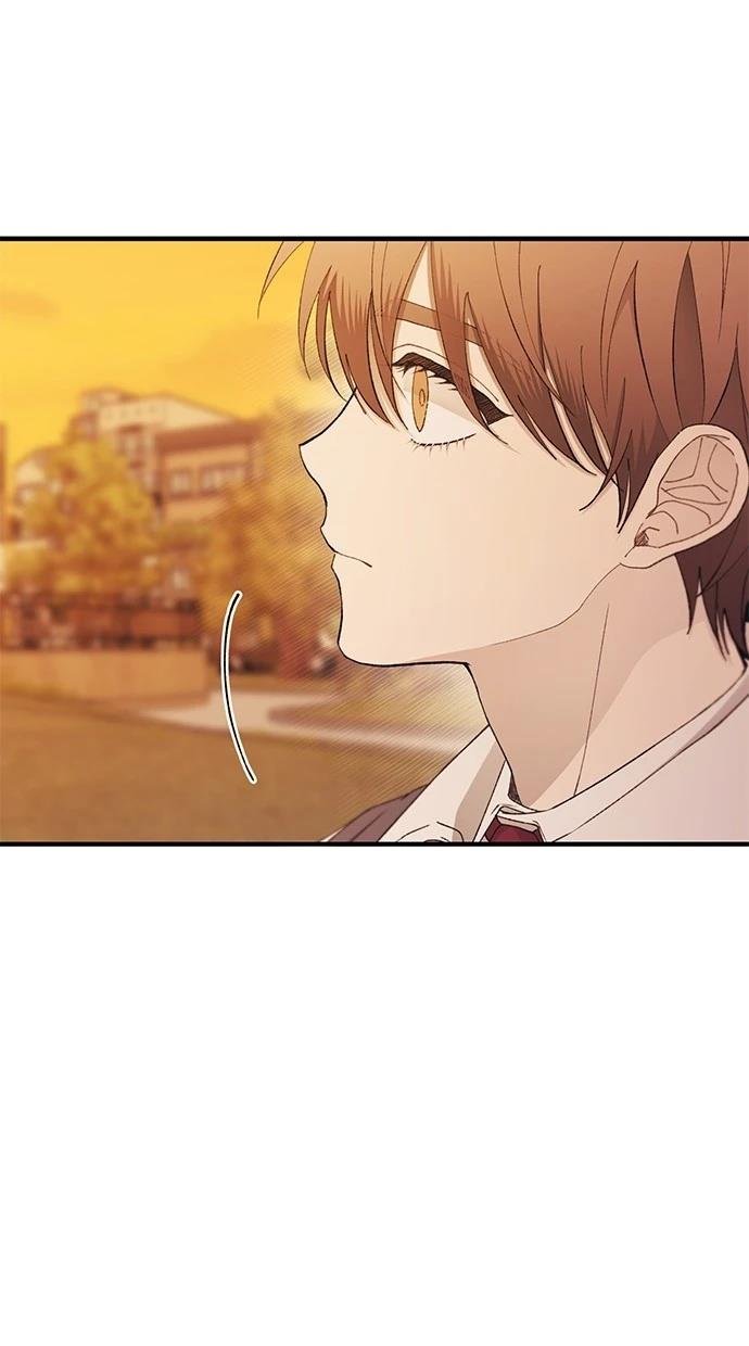 第146话