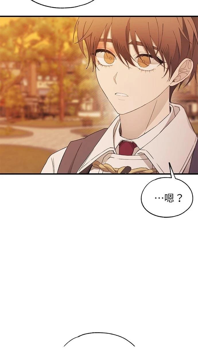 第146话