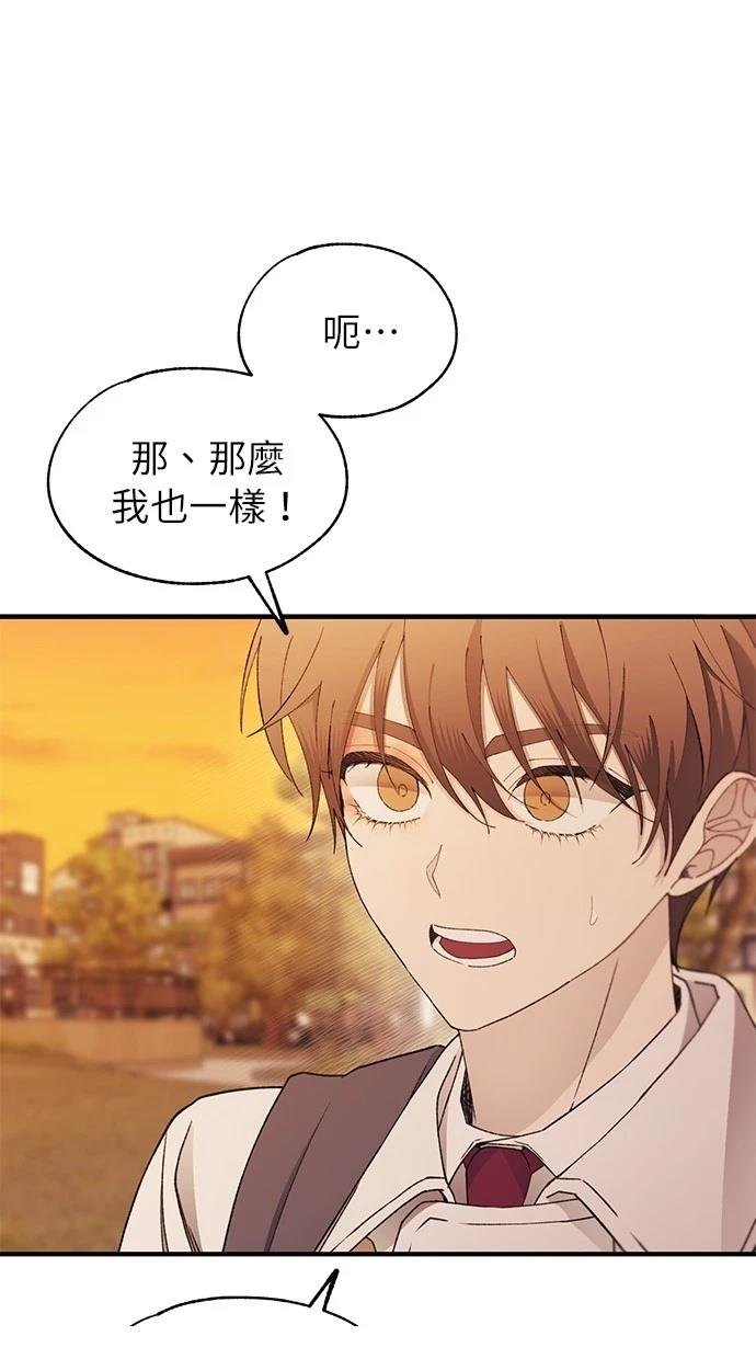 第146话