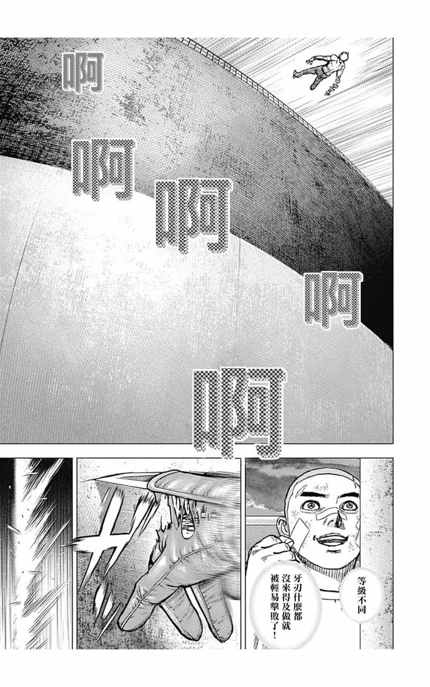 第117话